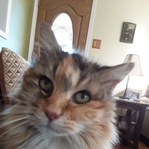 Meet your Posher, Cheryl